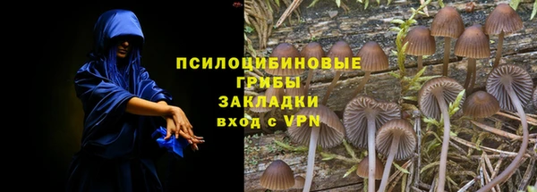спиды Вязьма