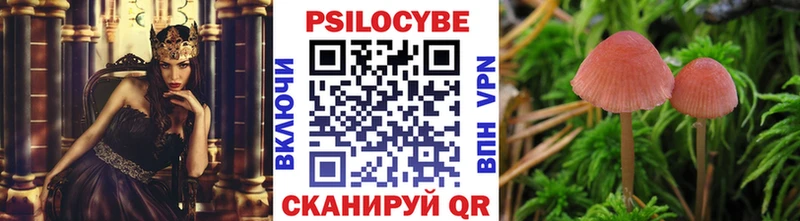 Псилоцибиновые грибы ЛСД  Самара 